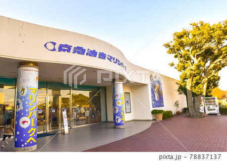 神奈川県三浦市にある水族館レジャー施設の油壷マリンパーク 神奈川県三浦市にある水族館レジャー施設の油壷マリンパーク 78837137