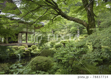 聚碧園 三千院 聚碧園 三千院 78837714