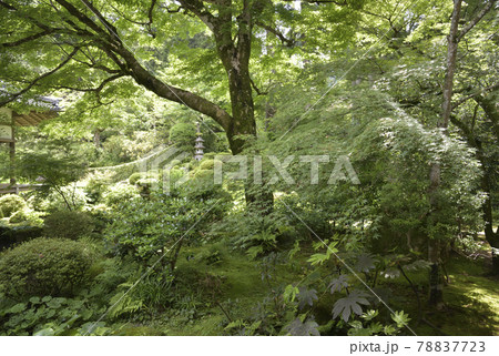 聚碧園 三千院 聚碧園 三千院 78837723