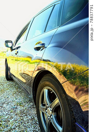 菜の花が車のボディにリフレクションしています【香川県仲多度郡まんのう町】a6400 菜の花が車のボディにリフレクションしています【香川県仲多度郡まんのう町】a6400 78837791