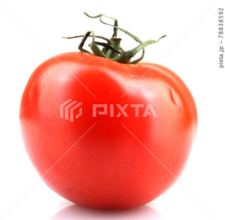 Tomato Isolated On White 78838592