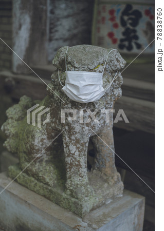 コロナ禍でマスクする狛犬 - 福岡県糸島市の櫻井神社 78838760