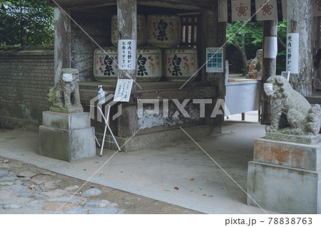 コロナ禍でマスクする狛犬 - 福岡県糸島市の櫻井神社 コロナ禍でマスクする狛犬 - 福岡県糸島市の櫻井神社 78838763