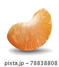 Realistic vector mandarin slice. Close-up illustration of tangerine isolated on white background 78838808