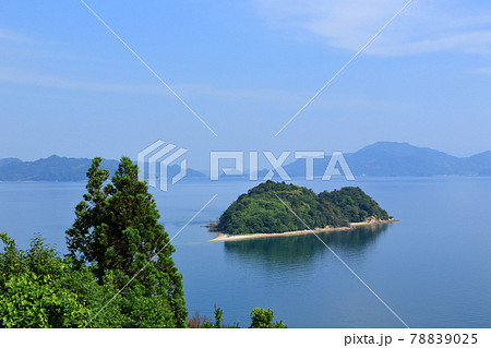 ハート島を眺めるトトロ ハート島を眺めるトトロ 78839025