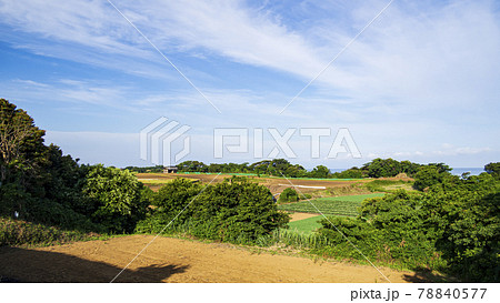 湘南三浦半島の畑から見た相模湾 78840577