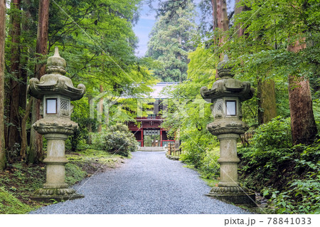 御岩神社参道と石灯籠 御岩神社参道と石灯籠 78841033