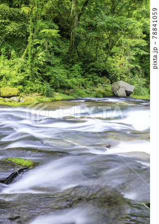 日本名水百選に選ばれている美しい菊池渓谷（熊本県菊池市） 78841059