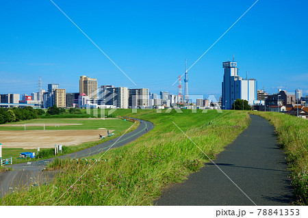 雨上がりの荒川の川原と東京スカイツリー 78841353