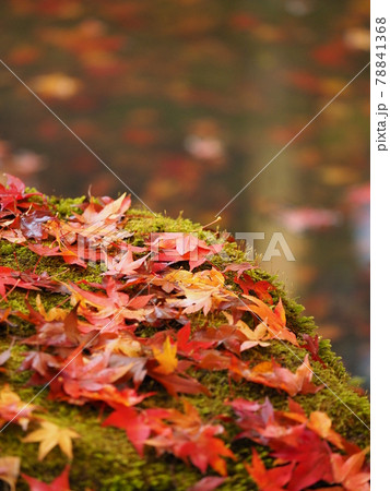 奈良室生寺の鮮やかな紅葉の風景 奈良室生寺の鮮やかな紅葉の風景 78841368