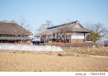 足立区立都市農業公園／東京都足立区鹿浜 78841898