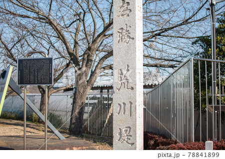 荒川土手/東京都足立区鹿浜 荒川土手/東京都足立区鹿浜 78841899