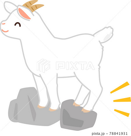 岩場に立つヤギ 78841931