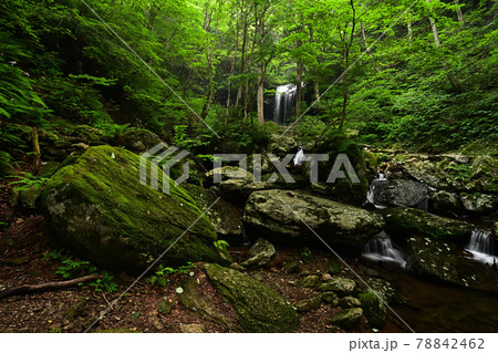 岩井滝より 78842462