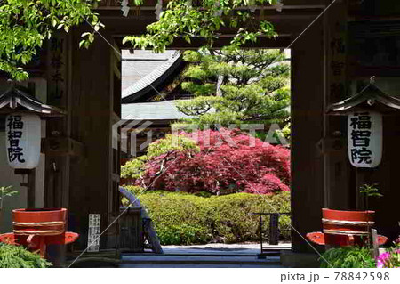 高野山より 78842598