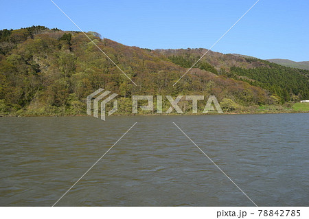 日本三大急流 最上川 78842785