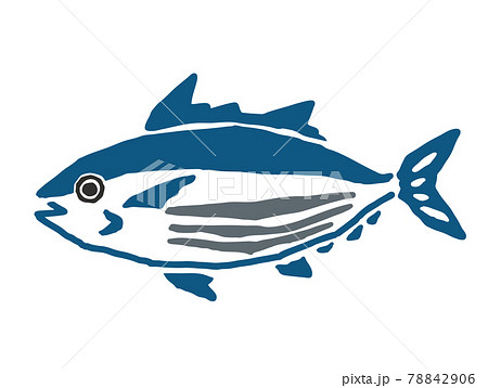 鰹　レトロなベクターイラスト 78842906