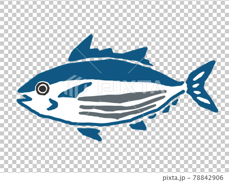 Bonito retro vector illustration 78842906