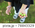 梅の実を持つ小さな子 78843329