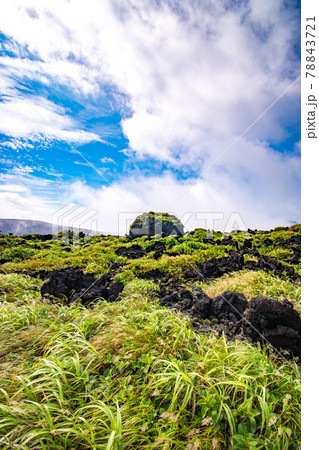 東京都大島町の伊豆大島にある火山三原山山頂で見た溶岩石の風景 東京都大島町の伊豆大島にある火山三原山山頂で見た溶岩石の風景 78843721