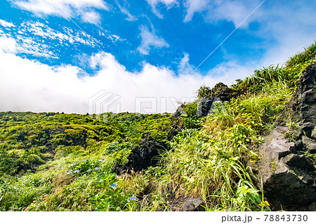 東京都大島町の伊豆大島にある火山三原山山頂で見た溶岩石の風景 78843730