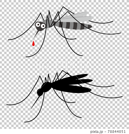 蚊のイラストセット シルエット マンガ風 のイラスト素材