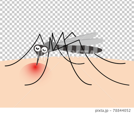 Illustration of a mosquito sucking blood (manga style) 78844052