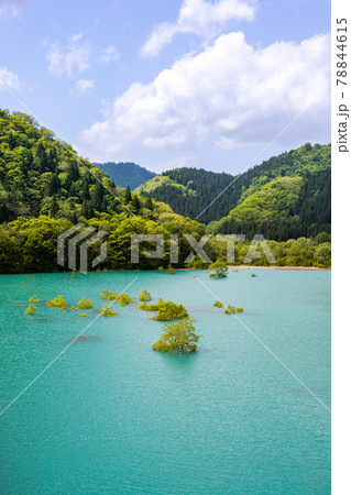 秋扇湖　水没林 78844615