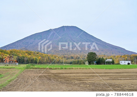 収穫後の畑と晩秋の羊蹄山のコラボ情景＠北海道 78844618