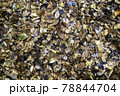 The fallen leaves are piled up and decomposed in the forest. 78844704