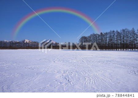 道東地方の美しい雪景色 78844841
