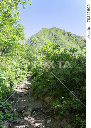栃木県那須山の登山道 78845600
