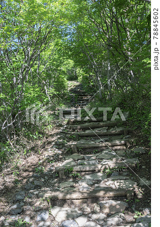 栃木県那須山の登山道 78845602