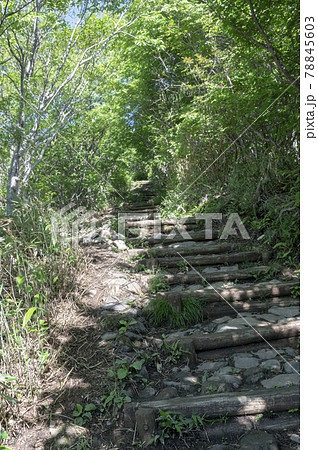 栃木県那須山の登山道 栃木県那須山の登山道 78845603