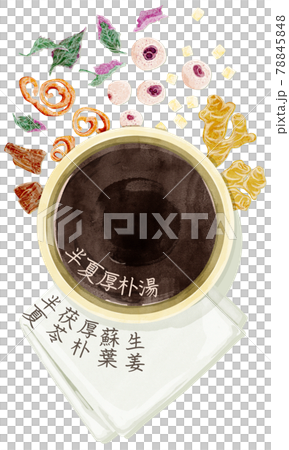 中草藥“Hangekobokuto”手繪水彩風格插畫 中草藥“Hangekobokuto”手繪水彩風格插畫 78845848