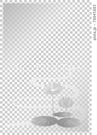 喪中はがき　睡蓮の花 78845883