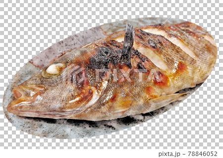家庭的で素朴な自宅調理の「イサキの塩焼き」水彩画風 絵手紙 家庭的で素朴な自宅調理の「イサキの塩焼き」水彩画風 絵手紙 78846052