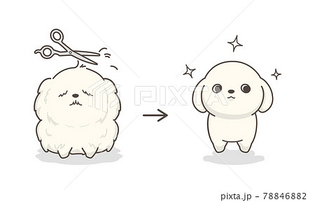 ドッグトリミング Before And Afterのイラスト素材 7468