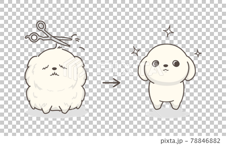 Dog trimming before and after Dog trimming before and after 78846882