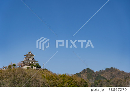 鳥取県鳥取市 春のお城山展望台の河原城 鳥取県鳥取市 春のお城山展望台の河原城 78847270