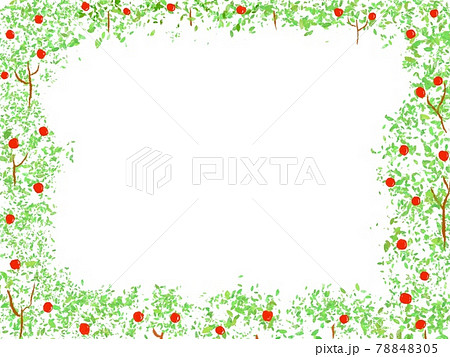 りんごの木々 78848305