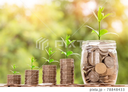 お金のなる植物 78848433