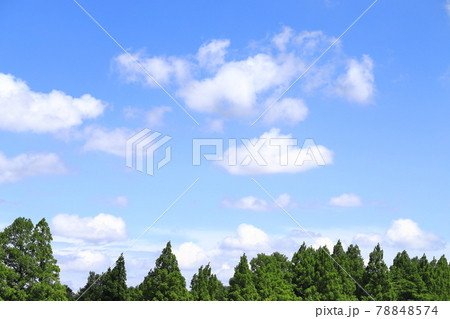 みさと公園と青空に浮かぶ白い雲　　 78848574