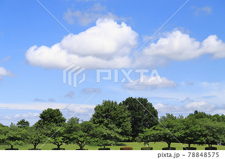みさと公園と青空に浮かぶ白い雲　　 78848575