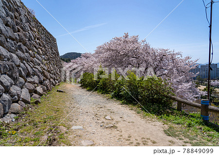 鳥取県鳥取市　春の鳥取城の二の丸からの城下の眺め 78849099