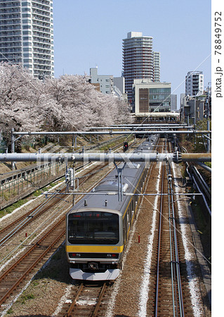 東中野の桜並木をゆく総武線E231系電車 78849752