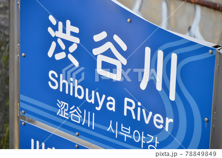渋谷川の河川名表示 78849849