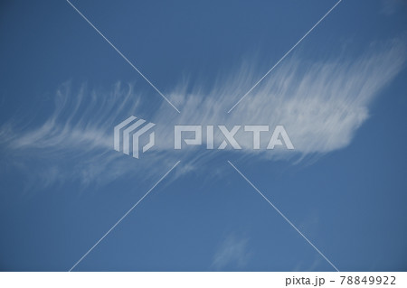 初夏の上層雲 初夏の上層雲 78849922