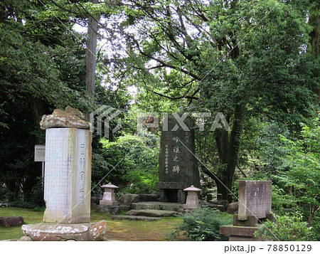 福井県 足羽山 福井県 足羽山 78850129
