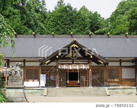 福井県　足羽山 78850132